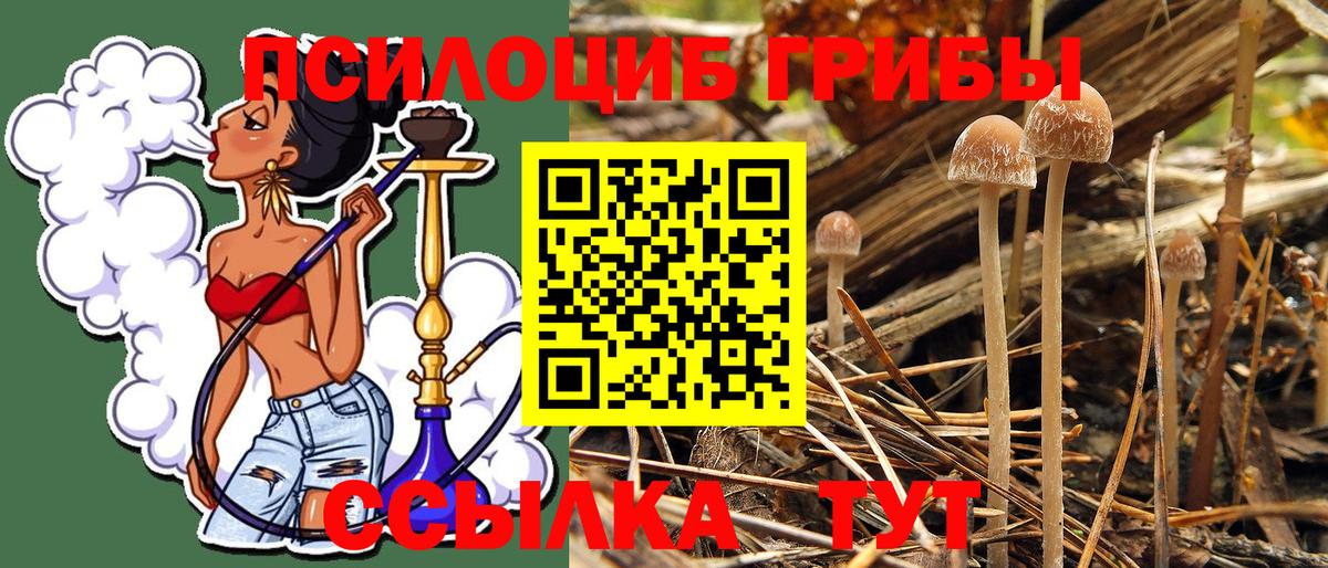 Псилоцибиновые грибы GOLDEN TEACHER Бугульма